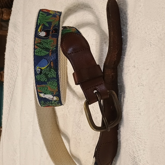 Parrot Rain forest belt 38 To 40 - Picture 4 of 5